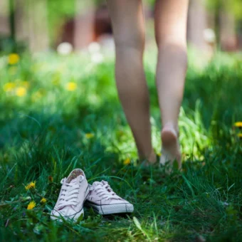 Earth connect / earthing